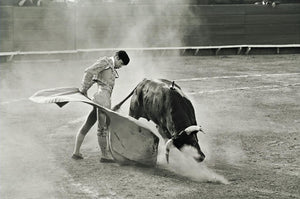 Bullfighting is a tradition and passtime for many in Spain and Mexico. It is an taurine art and there are many facets to the corrida de toros.  A ritual which has been around for 100s of years.