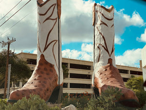 Ostritch Skin Print Cowboy Boots