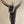 Load image into Gallery viewer, Vintage Sterling Silver Turquiose and Coral BOLO Tie (leather) with sterling tips
