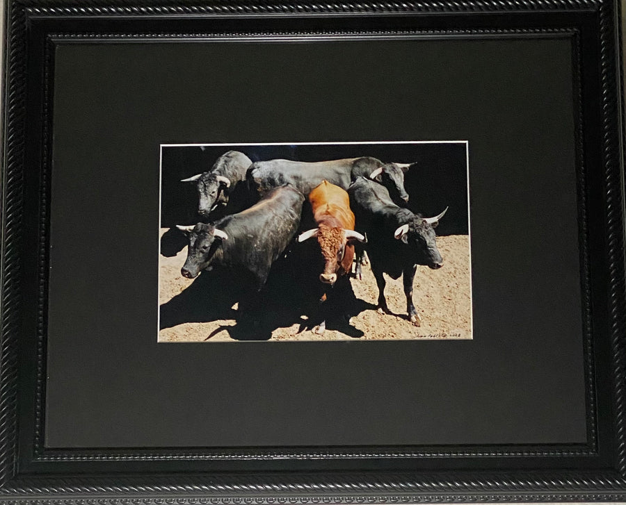 Bullfighting photography Art “el encierro”