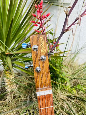 Teja Cigar Box Guitar with Vintage Texas 68 Plate HEMISPHERE