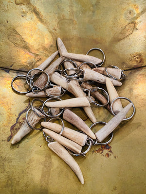 Deer Antler point key chains