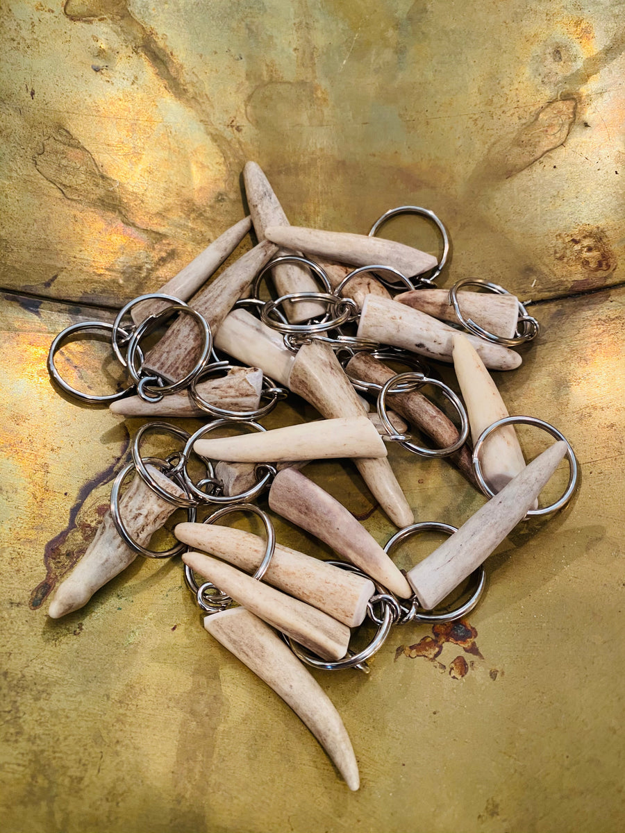 Deer Antler point key chains