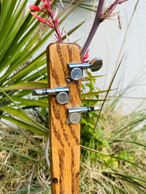 Teja Cigar Box Guitar with Vintage Texas 68 Plate HEMISPHERE